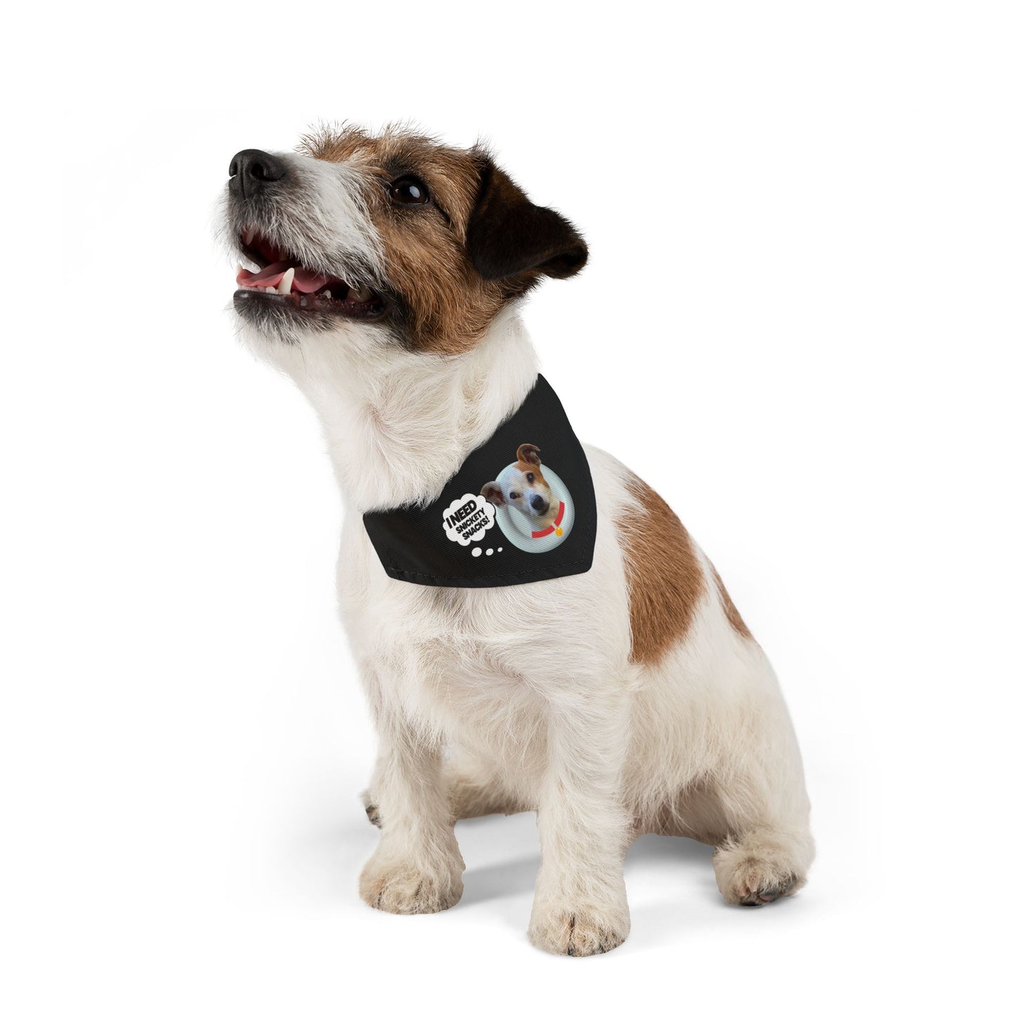 Pet Bandana Collar — "I Need Treats" Cute Dog Photo Bandana Collar