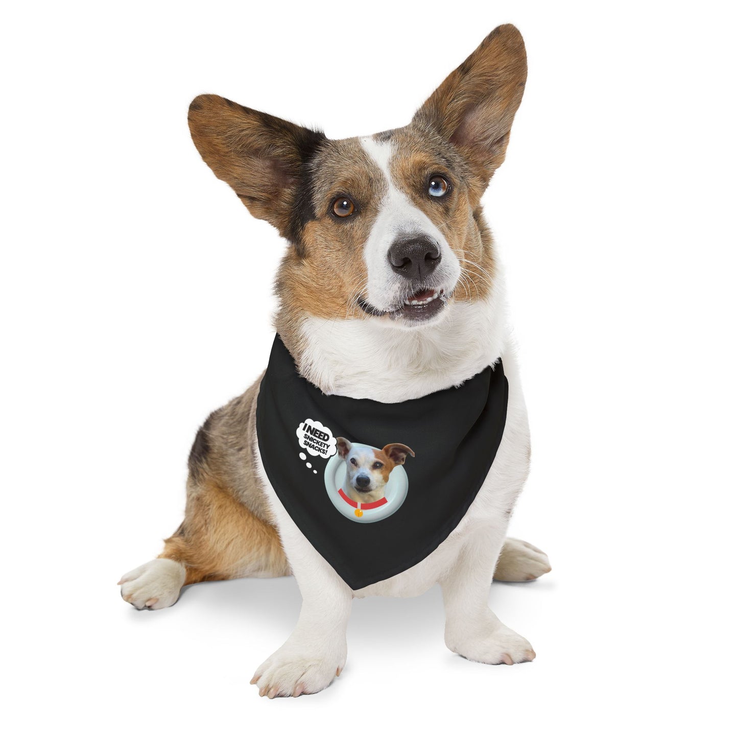 Pet Bandana Collar — "I Need Treats" Cute Dog Photo Bandana Collar