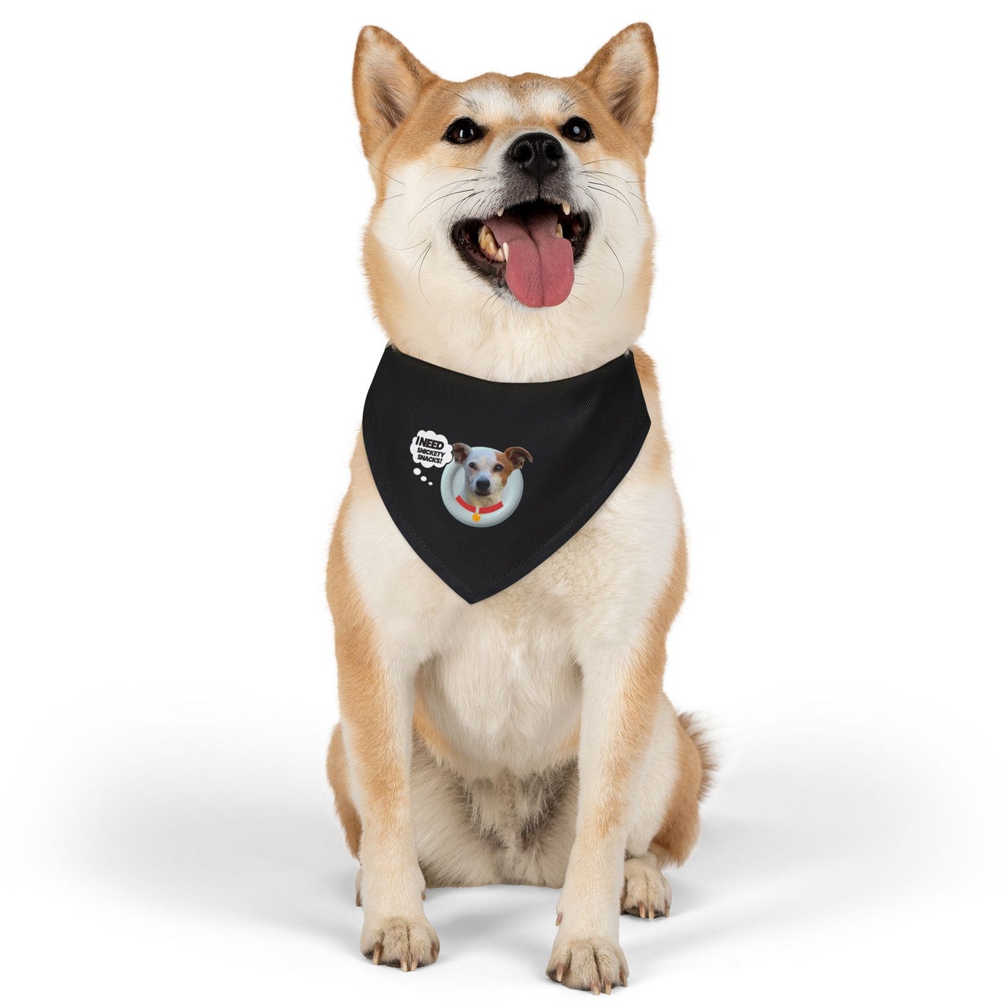 Pet Bandana Collar — "I Need Treats" Cute Dog Photo Bandana Collar