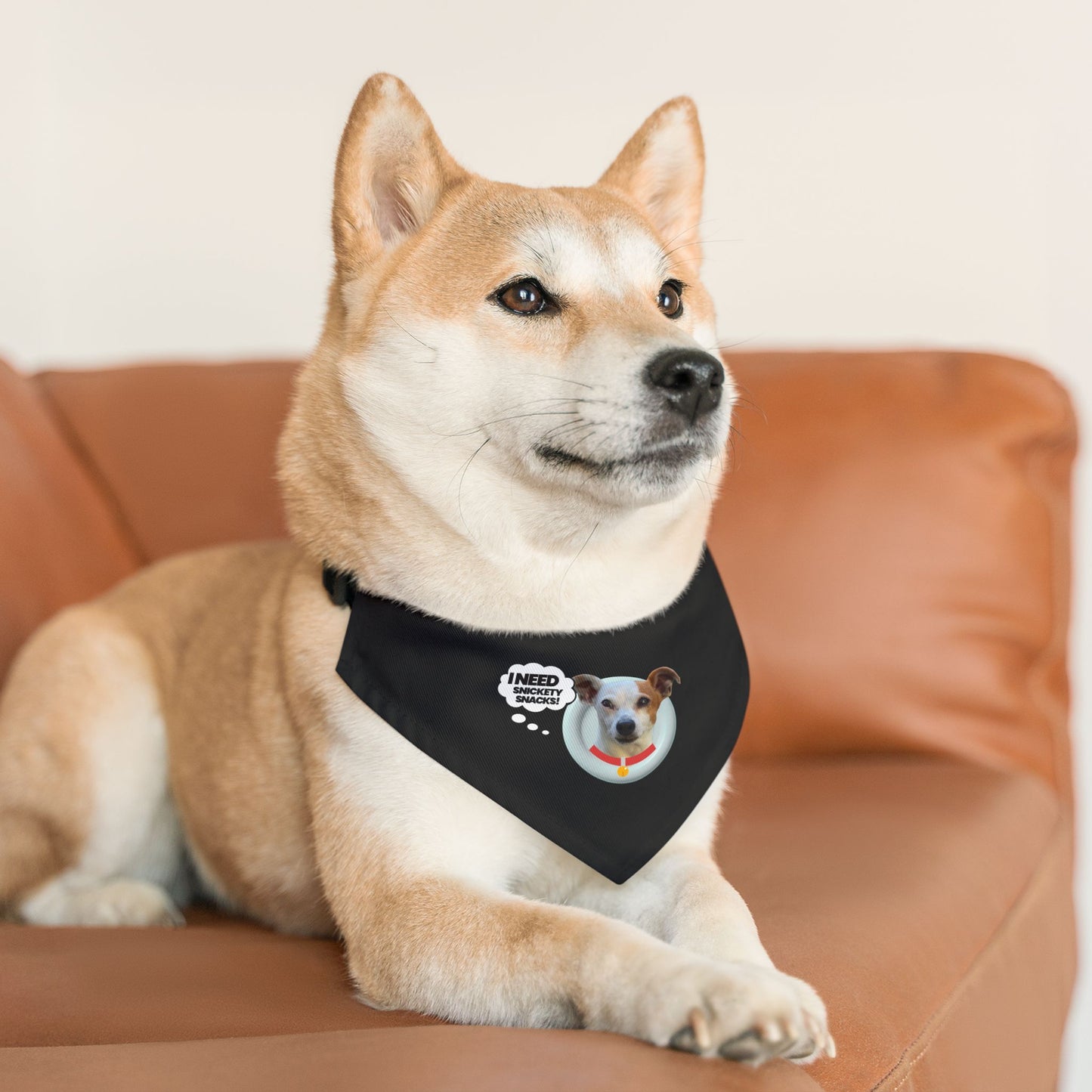 Pet Bandana Collar — "I Need Treats" Cute Dog Photo Bandana Collar