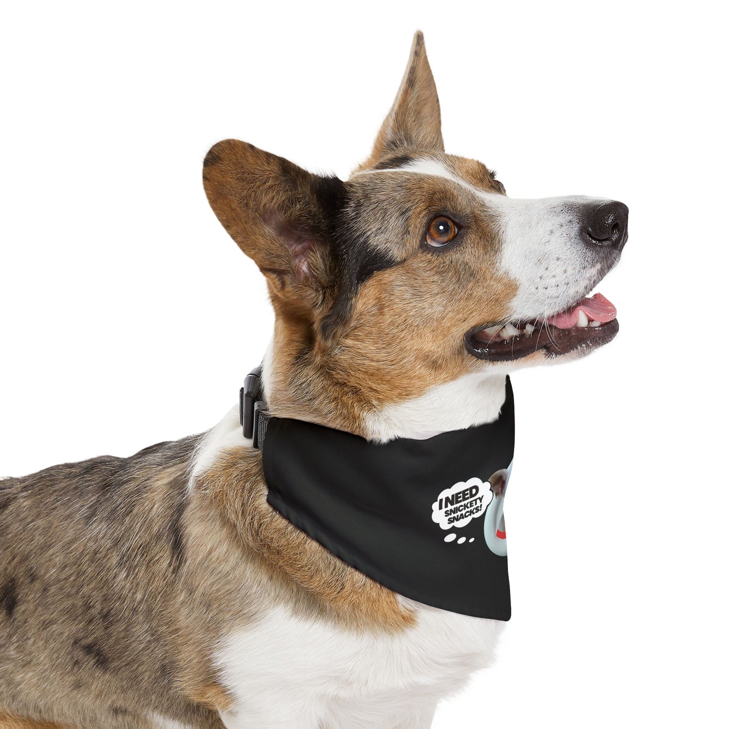 Pet Bandana Collar — "I Need Treats" Cute Dog Photo Bandana Collar