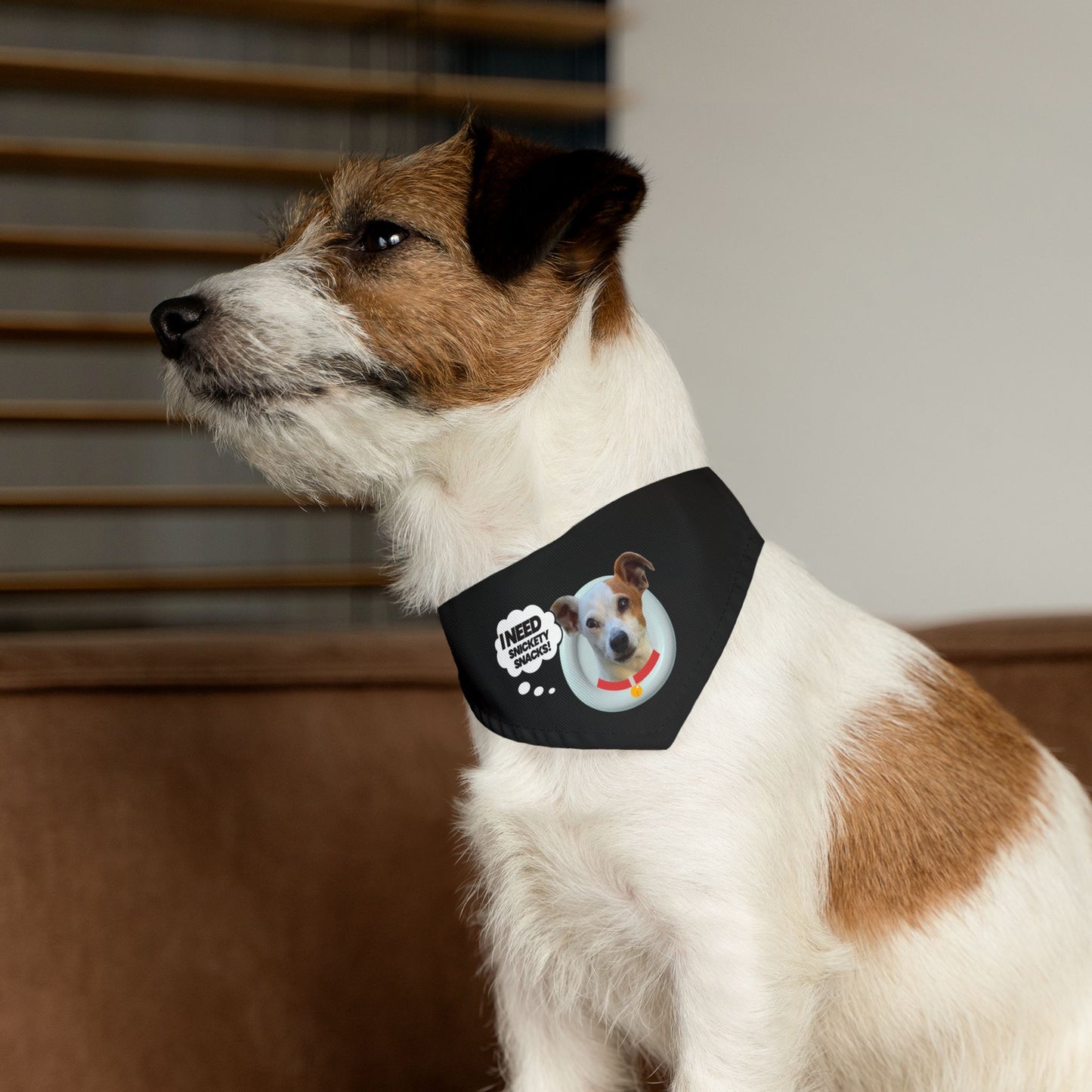 Pet Bandana Collar — "I Need Treats" Cute Dog Photo Bandana Collar